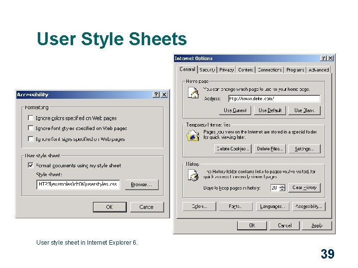 User Style Sheets User style sheet in Internet Explorer 6. 39 