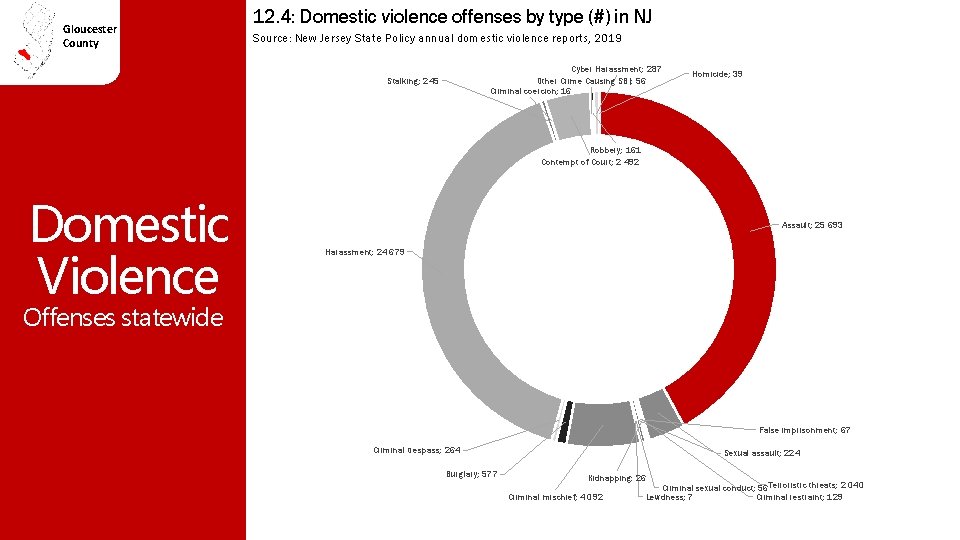 Gloucester County 12. 4: Domestic violence offenses by type (#) in NJ Source: New