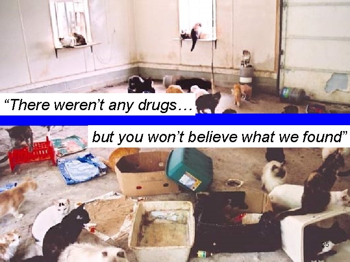 “There weren’t any drugs… but you won’t believe what we found” 25 