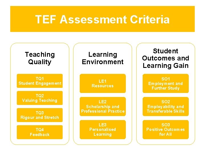 TEF Assessment Criteria Teaching Quality TQ 1 Student Engagement TQ 2 Valuing Teaching TQ