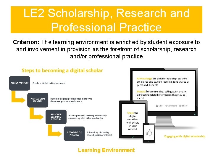 LE 2 Scholarship, Research and Professional Practice Criterion: The learning environment is enriched by