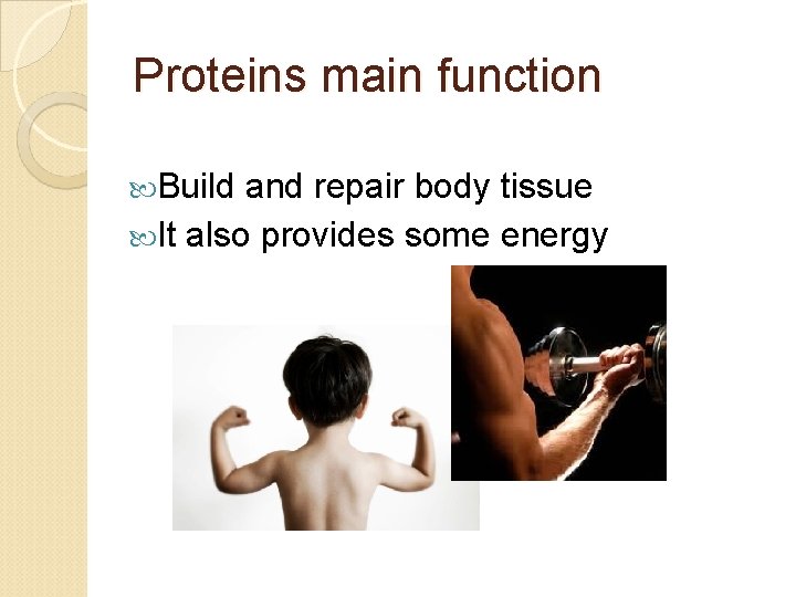 Proteins main function Build and repair body tissue It also provides some energy 