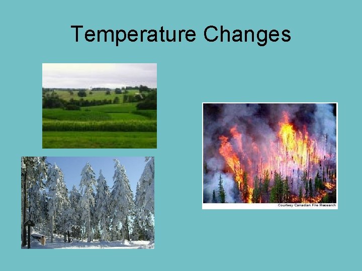 Temperature Changes 