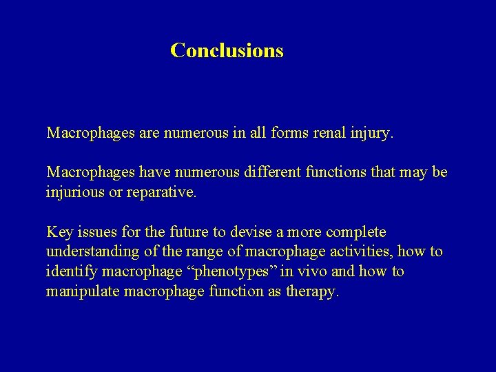 Conclusions Macrophages are numerous in all forms renal injury. Macrophages have numerous different functions