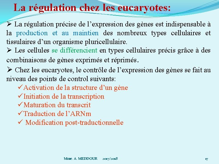 La régulation chez les eucaryotes: Ø La régulation précise de l’expression des gènes est