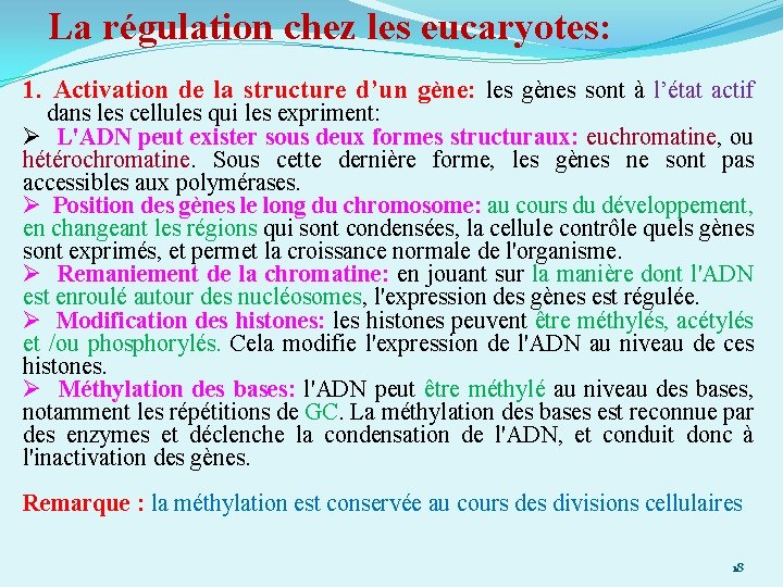 La régulation chez les eucaryotes: 1. Activation de la structure d’un gène: les gènes