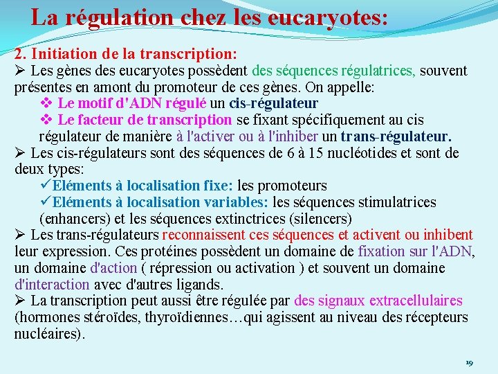 La régulation chez les eucaryotes: 2. Initiation de la transcription: Ø Les gènes des