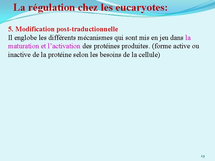 La régulation chez les eucaryotes: 5. Modification post-traductionnelle Il englobe les différents mécanismes qui