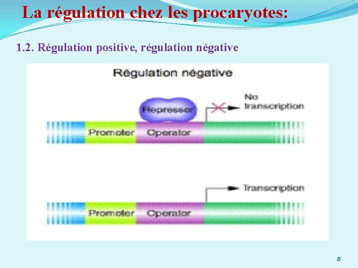 La régulation chez les procaryotes: 1. 2. Régulation positive, régulation négative 8 