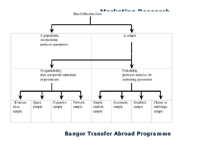 Marketing Research Bangor Transfer Abroad Programme 