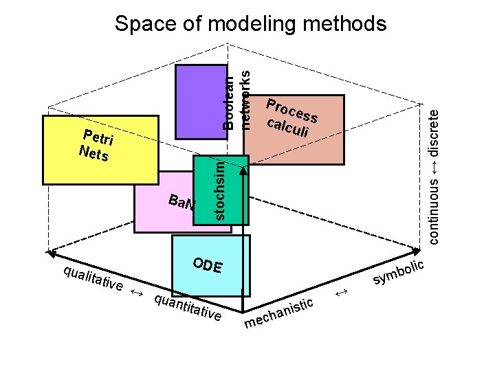 Ba. N stochsim Petri Nets Proc e calc ss uli continuous ↔ discrete Boolean