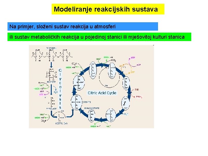 Modeliranje reakcijskih sustava Na primjer, složeni sustav reakcija u atmosferi ili sustav metaboličkih reakcija