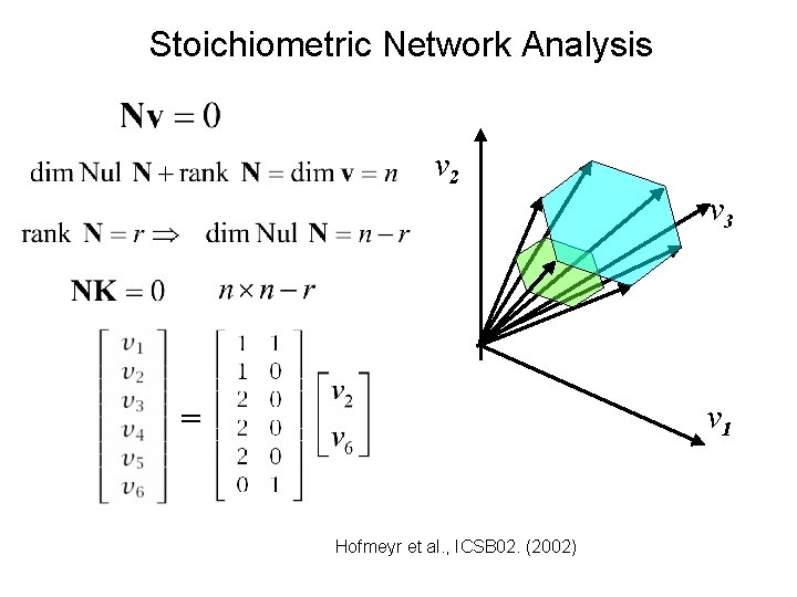 Stoichiometric Network Analysis v 2 v 3 v 1 = Hofmeyr et al. ,