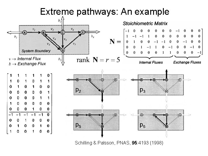 Extreme pathways: An example Schilling & Palsson, PNAS, 95: 4193 (1998) 