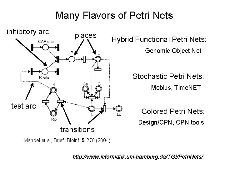 Many Flavors of Petri Nets inhibitory arc places Hybrid Functional Petri Nets: Genomic Object