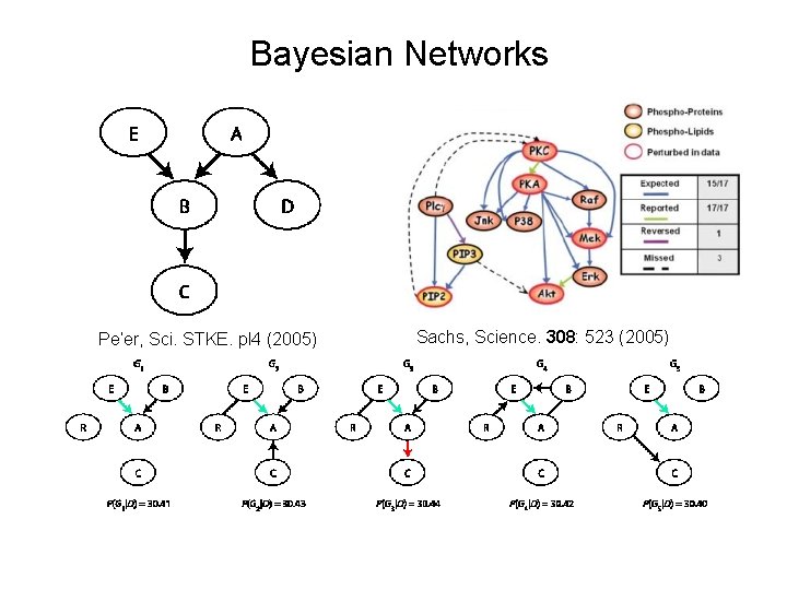 Bayesian Networks Pe’er, Sci. STKE. pl 4 (2005) Sachs, Science. 308: 523 (2005) 