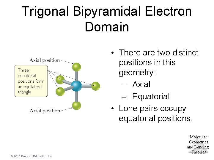 Trigonal Bipyramidal Electron Domain • There are two distinct positions in this geometry: –