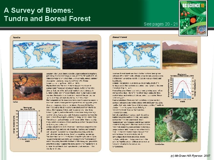 A Survey of Biomes: Tundra and Boreal Forest See pages 20 - 21 (c)