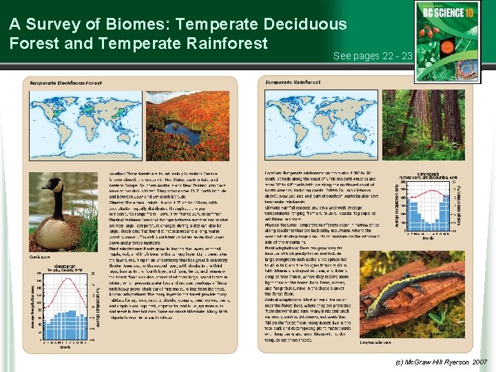 A Survey of Biomes: Temperate Deciduous Forest and Temperate Rainforest See pages 22 -
