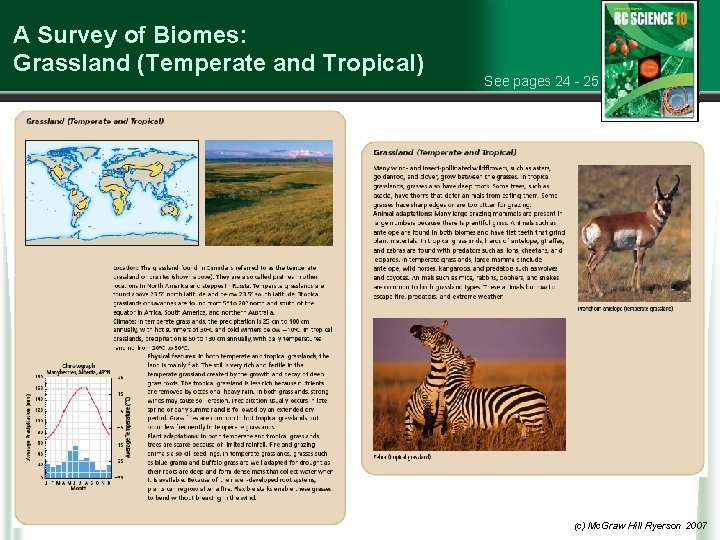 A Survey of Biomes: Grassland (Temperate and Tropical) See pages 24 - 25 (c)