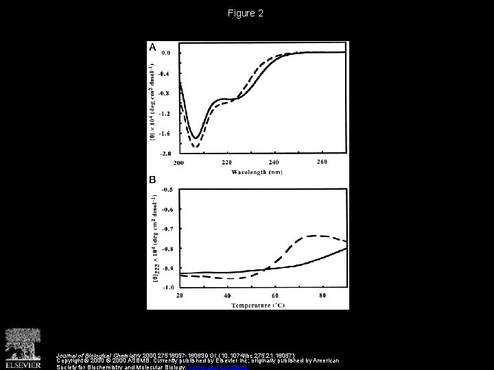 Figure 2 Journal of Biological Chemistry 2000 27516057 -16063 DOI: (10. 1074/jbc. 275. 21.