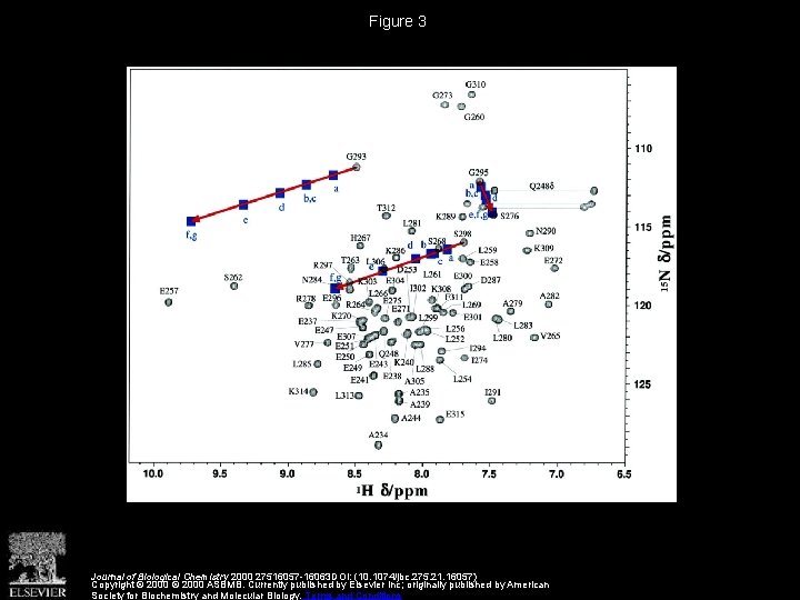 Figure 3 Journal of Biological Chemistry 2000 27516057 -16063 DOI: (10. 1074/jbc. 275. 21.