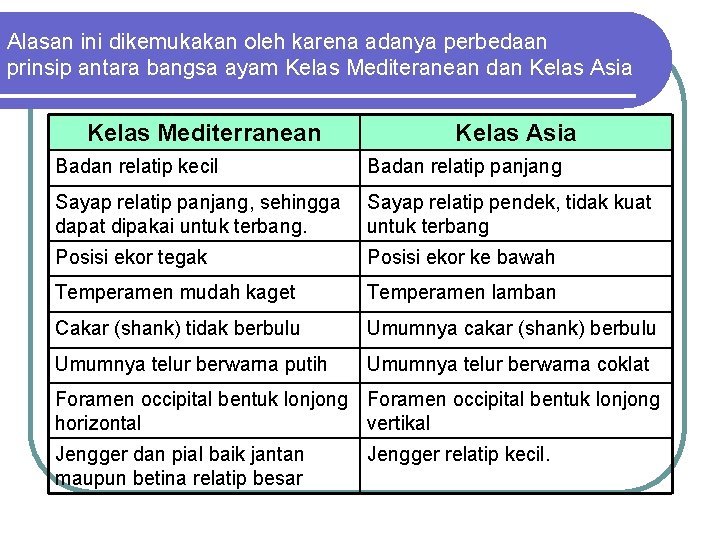 Alasan ini dikemukakan oleh karena adanya perbedaan prinsip antara bangsa ayam Kelas Mediteranean dan