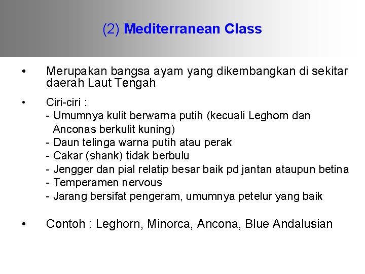 (2) Mediterranean Class • Merupakan bangsa ayam yang dikembangkan di sekitar daerah Laut Tengah