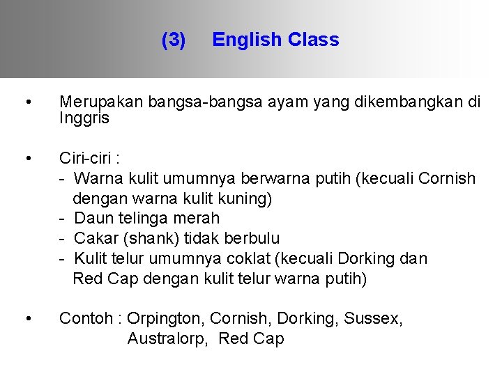 (3) English Class • Merupakan bangsa-bangsa ayam yang dikembangkan di Inggris • Ciri-ciri :