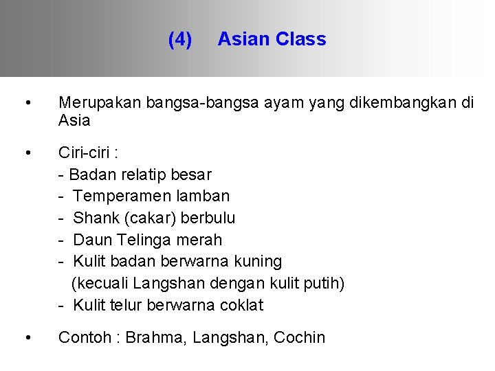 (4) Asian Class • Merupakan bangsa-bangsa ayam yang dikembangkan di Asia • Ciri-ciri :
