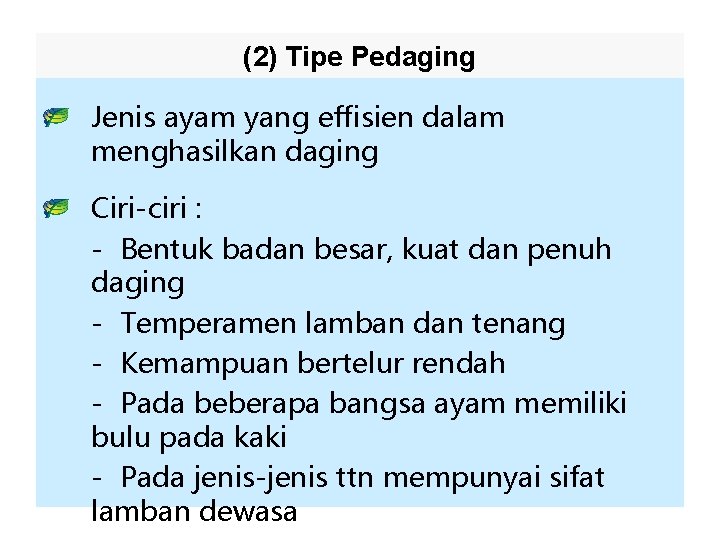 (2) Tipe Pedaging Jenis ayam yang effisien dalam menghasilkan daging Ciri-ciri : - Bentuk