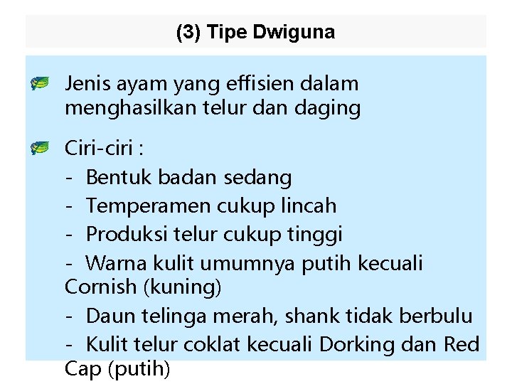 (3) Tipe Dwiguna Jenis ayam yang effisien dalam menghasilkan telur dan daging Ciri-ciri :