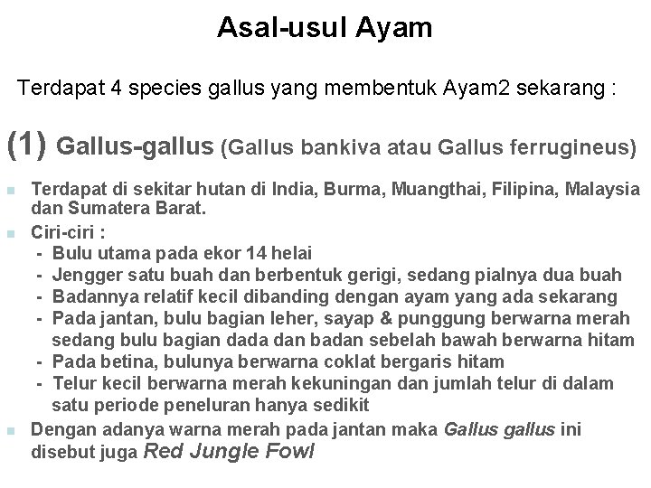 Asal-usul Ayam Terdapat 4 species gallus yang membentuk Ayam 2 sekarang : (1) Gallus-gallus