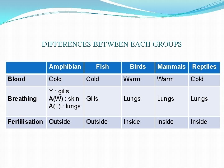 DIFFERENCES BETWEEN EACH GROUPS Amphibian Fish Birds Mammals Reptiles Blood Cold Warm Cold Breathing