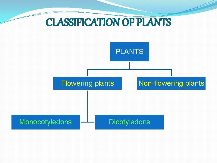 CLASSIFICATION OF PLANTS Flowering plants Monocotyledons Non-flowering plants Dicotyledons 