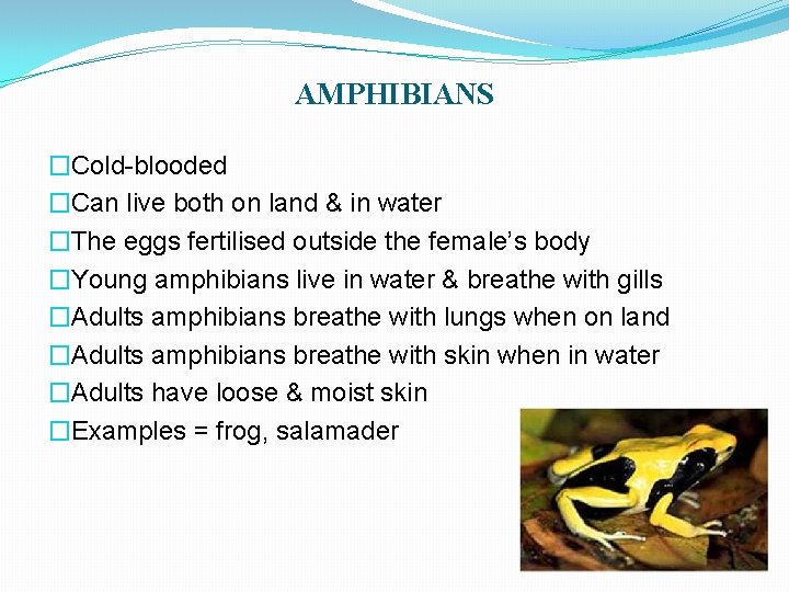 AMPHIBIANS �Cold-blooded �Can live both on land & in water �The eggs fertilised outside