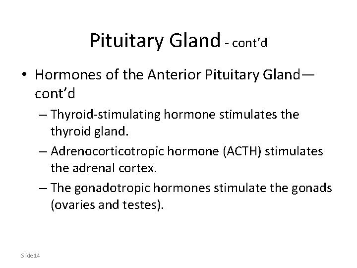 Pituitary Gland - cont’d • Hormones of the Anterior Pituitary Gland— cont’d – Thyroid-stimulating