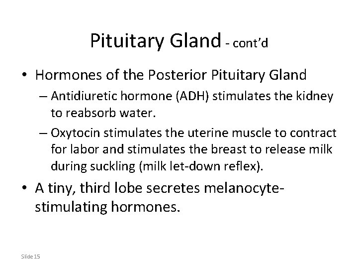 Pituitary Gland - cont’d • Hormones of the Posterior Pituitary Gland – Antidiuretic hormone