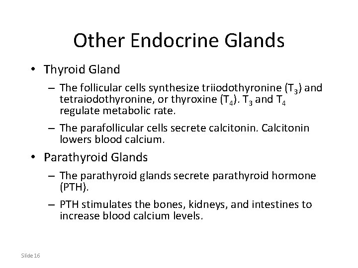 Other Endocrine Glands • Thyroid Gland – The follicular cells synthesize triiodothyronine (T 3)