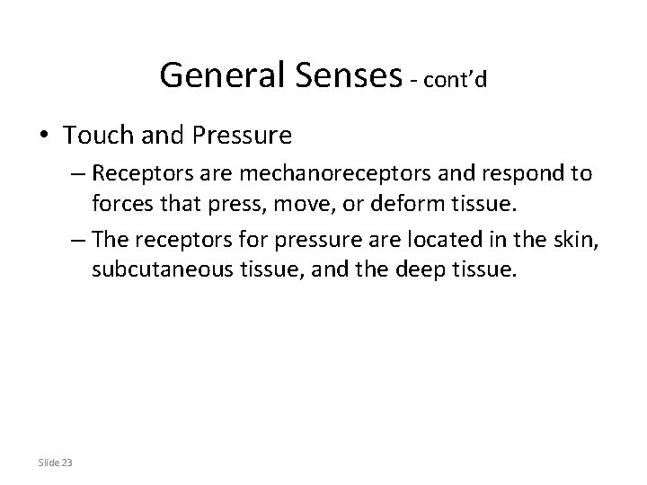 General Senses - cont’d • Touch and Pressure – Receptors are mechanoreceptors and respond