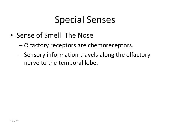 Special Senses • Sense of Smell: The Nose – Olfactory receptors are chemoreceptors. –