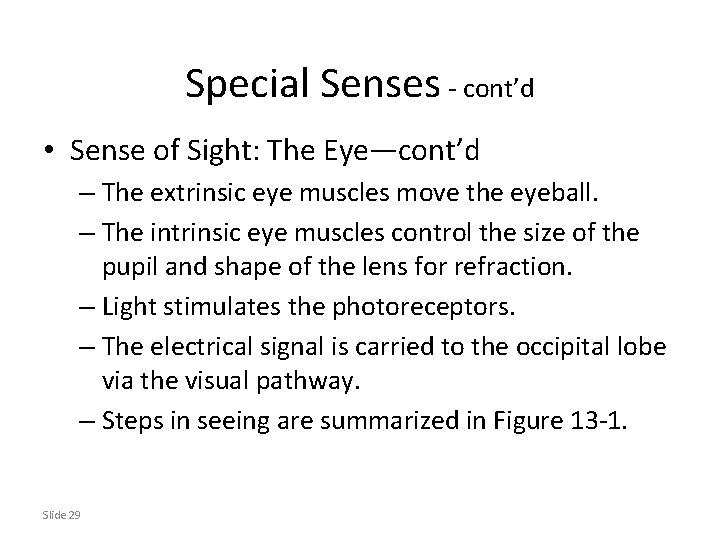 Special Senses - cont’d • Sense of Sight: The Eye—cont’d – The extrinsic eye