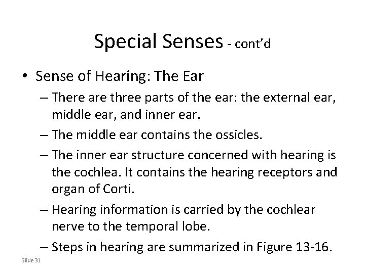 Special Senses - cont’d • Sense of Hearing: The Ear – There are three