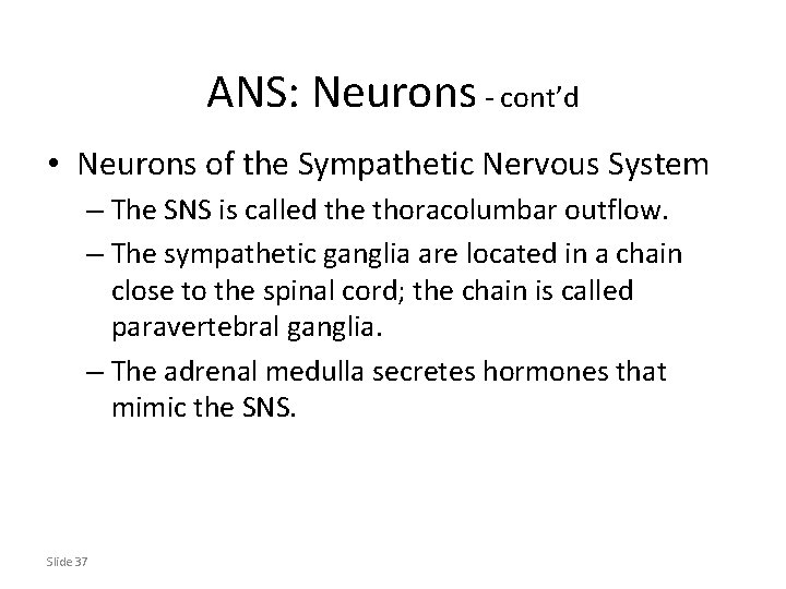 ANS: Neurons - cont’d • Neurons of the Sympathetic Nervous System – The SNS