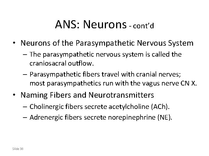ANS: Neurons - cont’d • Neurons of the Parasympathetic Nervous System – The parasympathetic