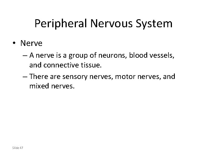 Peripheral Nervous System • Nerve – A nerve is a group of neurons, blood