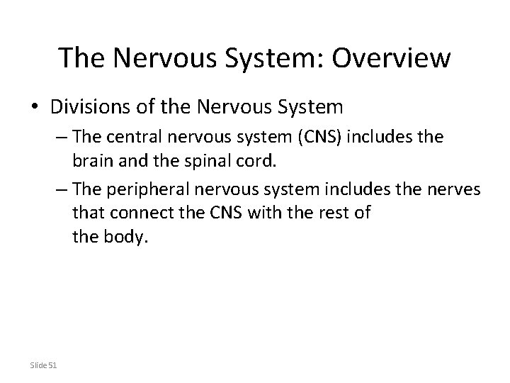 The Nervous System: Overview • Divisions of the Nervous System – The central nervous
