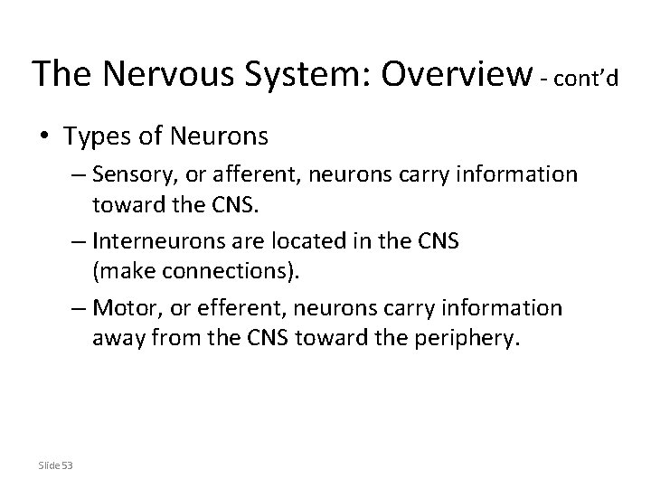 The Nervous System: Overview - cont’d • Types of Neurons – Sensory, or afferent,