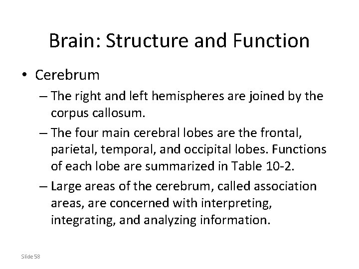 Brain: Structure and Function • Cerebrum – The right and left hemispheres are joined