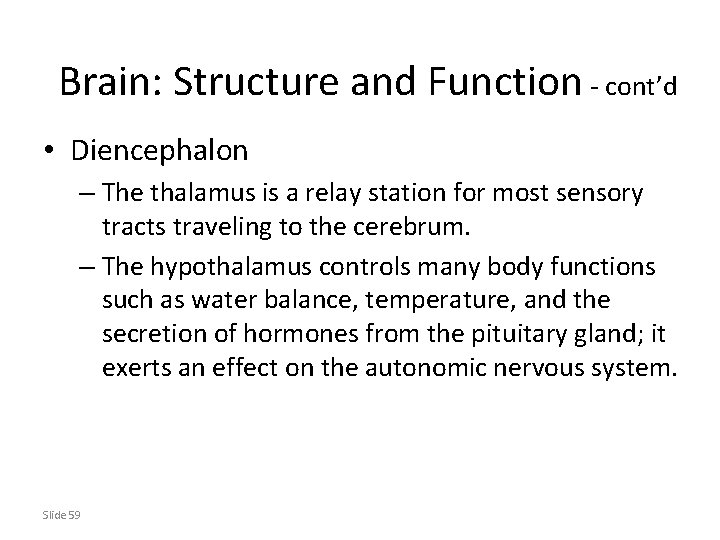 Brain: Structure and Function - cont’d • Diencephalon – The thalamus is a relay